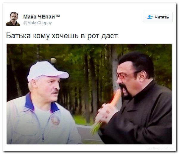 "Мыздобулы" в картинках. Смешных и не очень... 27-08-2016 "Мыздобулы" в картинках. Смешных и не очень... 27-08-2016