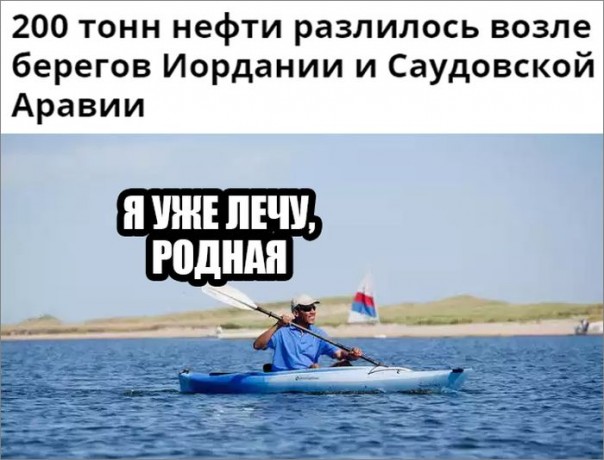 "Мыздобулы" в картинках. Смешных и не очень... 27-08-2016 "Мыздобулы" в картинках. Смешных и не очень... 27-08-2016