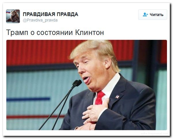 Подборка картинок Подборка картинок