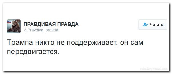 Подборка картинок Подборка картинок