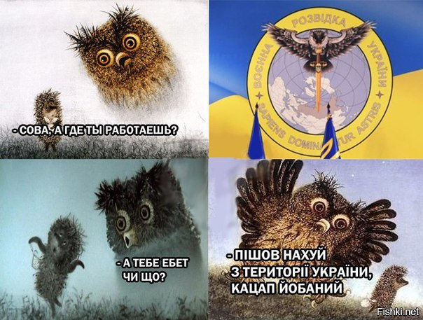 "Мыздобулы" в картинках. Смешных и не очень... 31-10-2016 "Мыздобулы" в картинках. Смешных и не очень... 31-10-2016