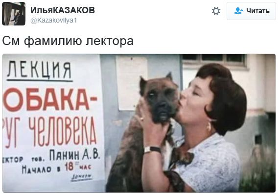 "Мыздобулы" в картинках. Смешных и не очень... 31-10-2016 "Мыздобулы" в картинках. Смешных и не очень... 31-10-2016