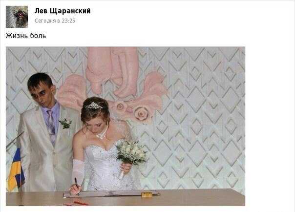 "Мыздобулы" в картинках. Смешных и не очень... 31-10-2016 "Мыздобулы" в картинках. Смешных и не очень... 31-10-2016