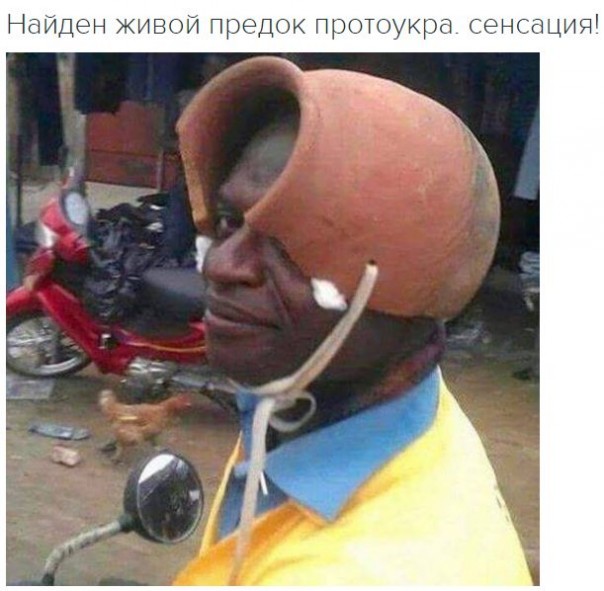 "Мыздобулы" в картинках. Смешных и не очень... 31-10-2016 "Мыздобулы" в картинках. Смешных и не очень... 31-10-2016