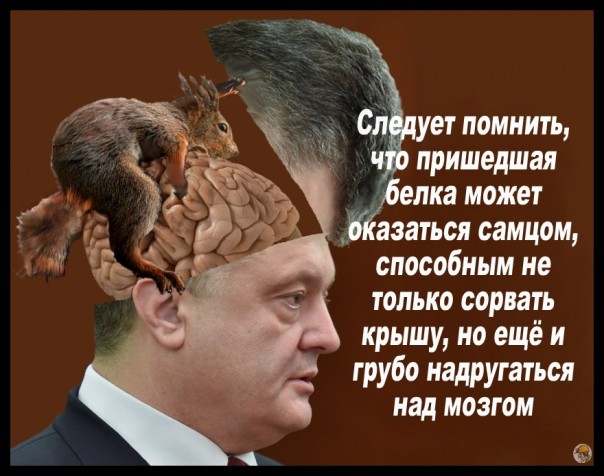 "Мыздобулы" в картинках. Смешных и не очень... 31-10-2016 "Мыздобулы" в картинках. Смешных и не очень... 31-10-2016