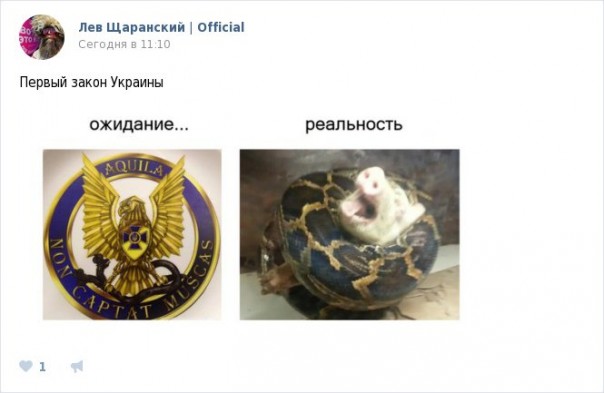 "Мыздобулы" в картинках. Смешных и не очень... 31-10-2016 "Мыздобулы" в картинках. Смешных и не очень... 31-10-2016