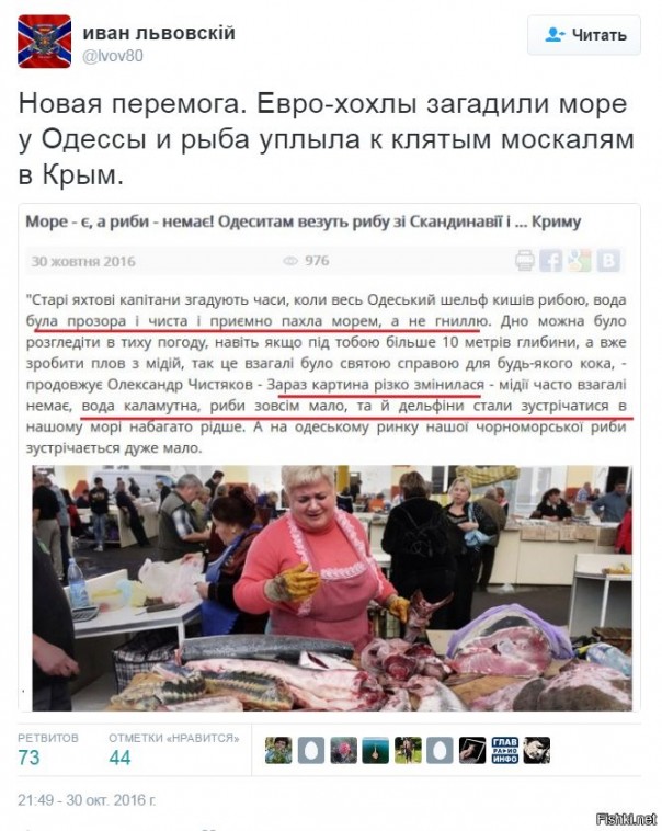 "Мыздобулы" в картинках. Смешных и не очень... 31-10-2016 "Мыздобулы" в картинках. Смешных и не очень... 31-10-2016