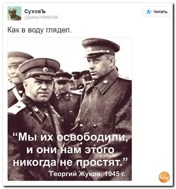 "Мыздобулы" в картинках. Смешных и не очень... 9-11-2016 "Мыздобулы" в картинках. Смешных и не очень... 9-11-2016