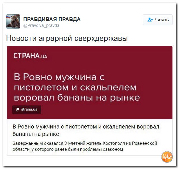 "Мыздобулы" в картинках. Смешных и не очень... 9-11-2016 "Мыздобулы" в картинках. Смешных и не очень... 9-11-2016