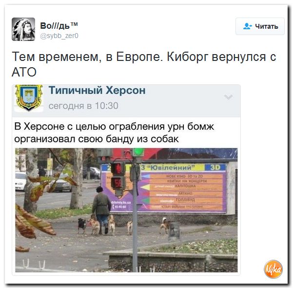 "Мыздобулы" в картинках. Смешных и не очень... 9-11-2016 "Мыздобулы" в картинках. Смешных и не очень... 9-11-2016