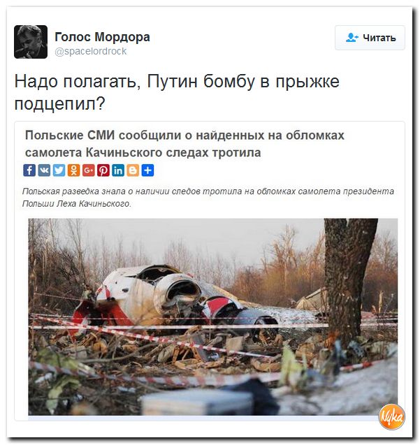 "Мыздобулы" в картинках. Смешных и не очень... 9-11-2016 "Мыздобулы" в картинках. Смешных и не очень... 9-11-2016