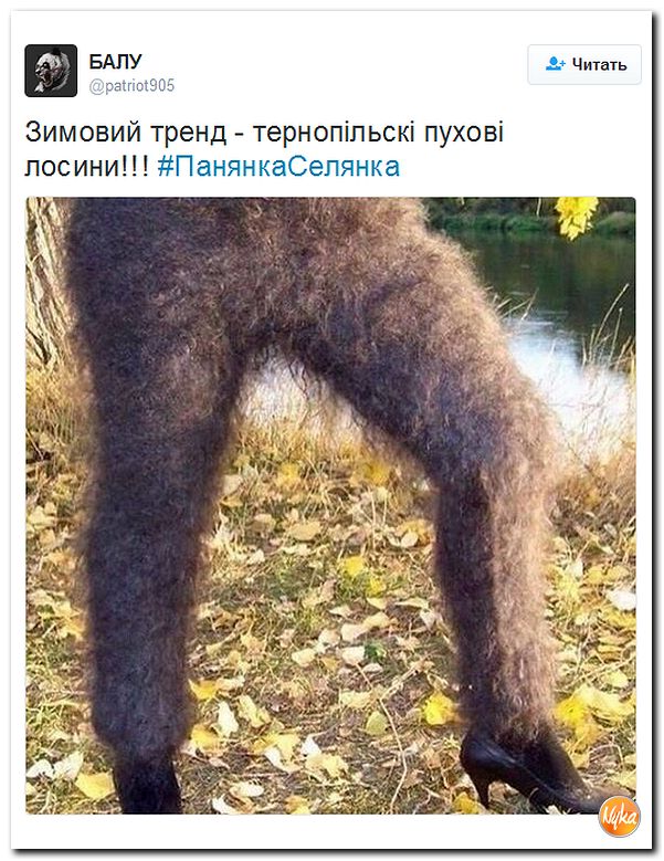 "Мыздобулы" в картинках. Смешных и не очень... 9-11-2016 "Мыздобулы" в картинках. Смешных и не очень... 9-11-2016