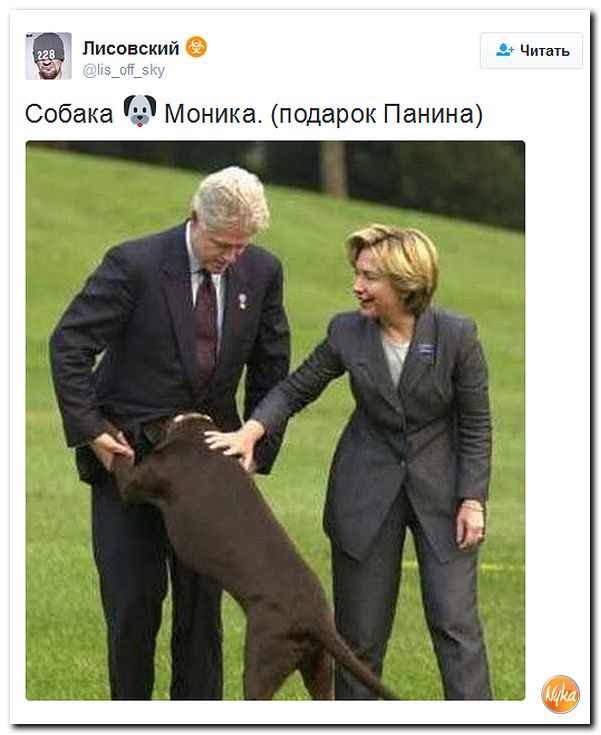 "Мыздобулы" в картинках. Смешных и не очень... 9-11-2016 "Мыздобулы" в картинках. Смешных и не очень... 9-11-2016