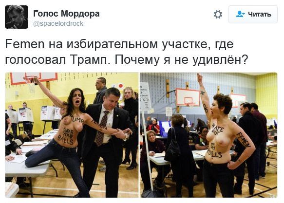 "Мыздобулы" в картинках. Смешных и не очень... 9-11-2016 "Мыздобулы" в картинках. Смешных и не очень... 9-11-2016