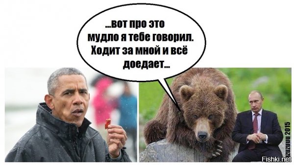 "Мыздобулы" в картинках. Смешных и не очень... 9-11-2016 "Мыздобулы" в картинках. Смешных и не очень... 9-11-2016