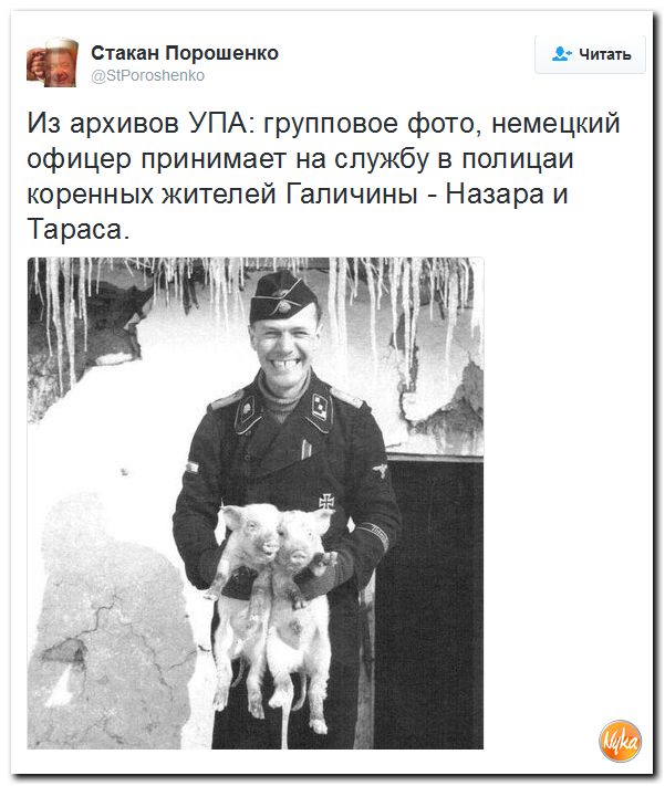 "Мыздобулы" в картинках. Смешных и не очень... 9-11-2016 "Мыздобулы" в картинках. Смешных и не очень... 9-11-2016