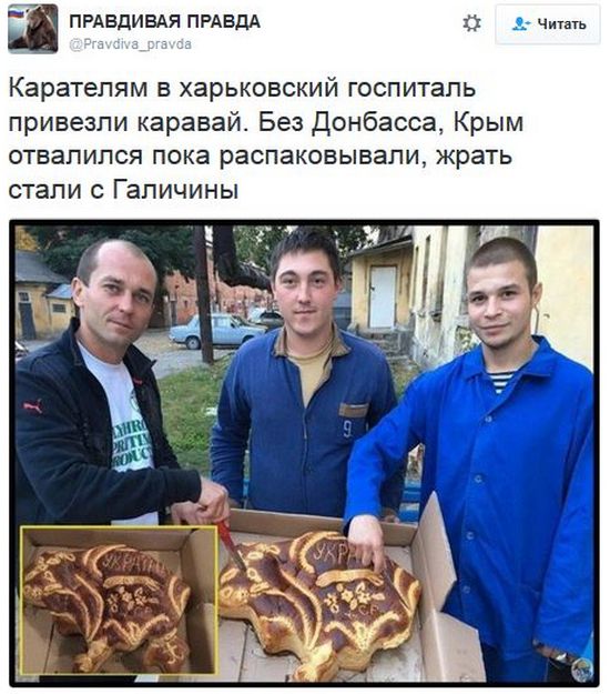 "Мыздобулы" в картинках. Смешных и не очень... 12-11-2016 "Мыздобулы" в картинках. Смешных и не очень... 12-11-2016