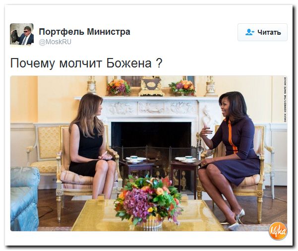 "Мыздобулы" в картинках. Смешных и не очень... 12-11-2016 "Мыздобулы" в картинках. Смешных и не очень... 12-11-2016