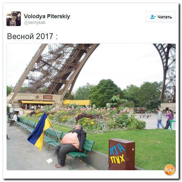 "Мыздобулы" в картинках. Смешных и не очень... 12-11-2016 "Мыздобулы" в картинках. Смешных и не очень... 12-11-2016