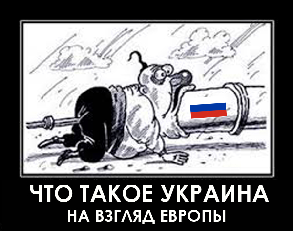 "Мыздобулы" в картинках. Смешных и не очень... 12-11-2016 "Мыздобулы" в картинках. Смешных и не очень... 12-11-2016