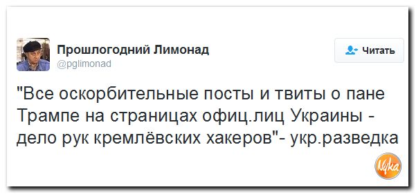 "Мыздобулы" в картинках. Смешных и не очень... 12-11-2016 "Мыздобулы" в картинках. Смешных и не очень... 12-11-2016