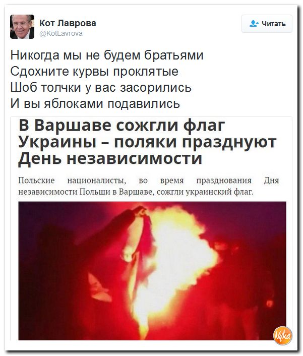 "Мыздобулы" в картинках. Смешных и не очень... 12-11-2016 "Мыздобулы" в картинках. Смешных и не очень... 12-11-2016