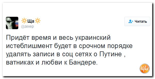"Мыздобулы" в картинках. Смешных и не очень... 12-11-2016 "Мыздобулы" в картинках. Смешных и не очень... 12-11-2016