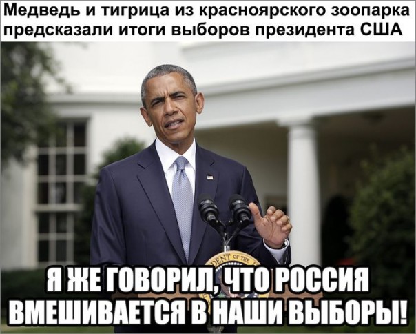 "Мыздобулы" в картинках. Смешных и не очень... 9-11-2016 "Мыздобулы" в картинках. Смешных и не очень... 9-11-2016