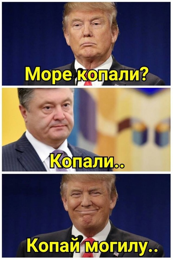 "Мыздобулы" в картинках. Смешных и не очень... 12-11-2016 "Мыздобулы" в картинках. Смешных и не очень... 12-11-2016