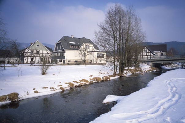 Родители с 10 детьми бежали из Германии в Сибирь из-за уроков сексуального просвещения Родители с 10 детьми бежали из Германии в Сибирь из-за уроков сексуального просвещения