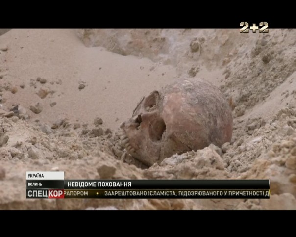 На Волыни нашли массовое захоронение советских военнопленных и жертв Холокоста