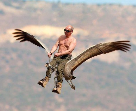 Шарий против Путина... или Шарий который ничерта не шарит Шарий против Путина... или Шарий который ничерта не шарит