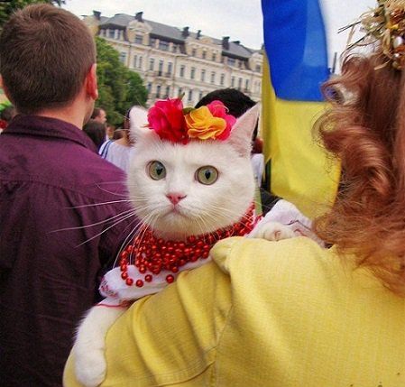 Украина заняла первое место по количеству психических расстройств в Европе